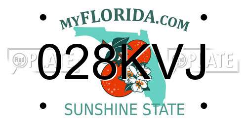 028KVJ Florida License Plate
