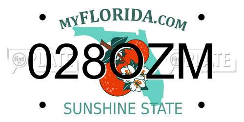 028OZM Florida License Plate
