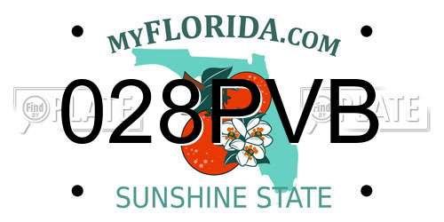 028PVB Florida License Plate