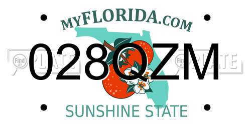 028QZM Florida License Plate