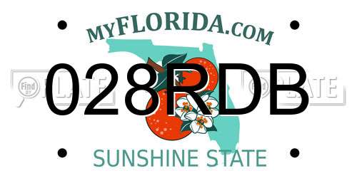 028RDB Florida License Plate