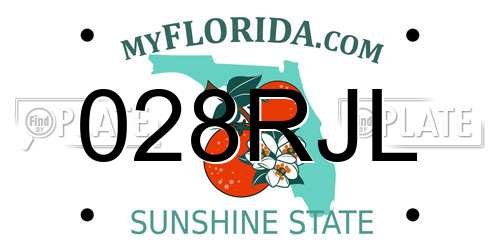 028RJL Florida License Plate