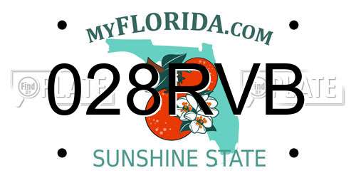 028RVB Florida License Plate