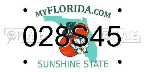 028S45 Florida License Plate