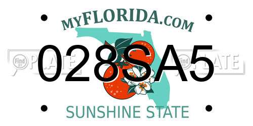 028SA5 Florida License Plate