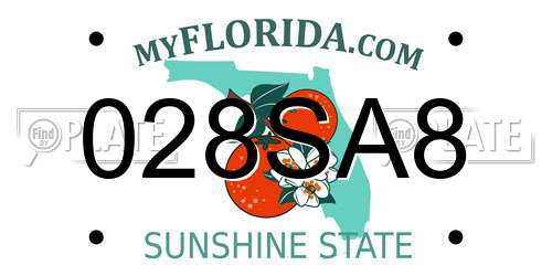 028SA8 Florida License Plate