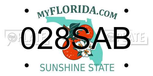 028SAB Florida License Plate
