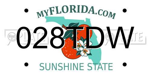 028TDW Florida License Plate