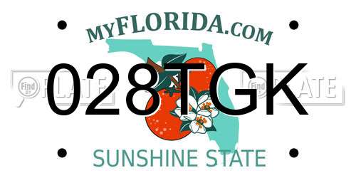028TGK Florida License Plate