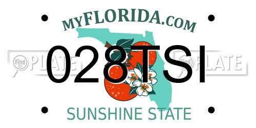 028TSI Florida License Plate