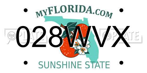 028WVX Florida License Plate