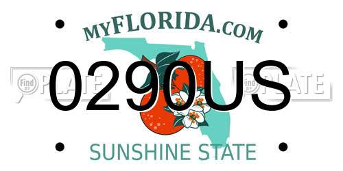 0290US Florida License Plate