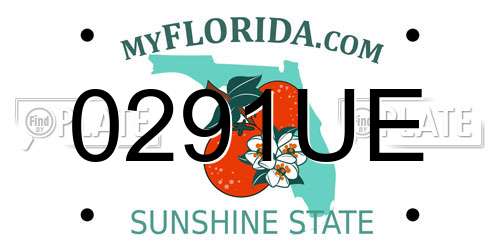0291UE Florida License Plate
