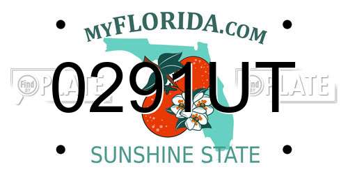 0291UT Florida License Plate