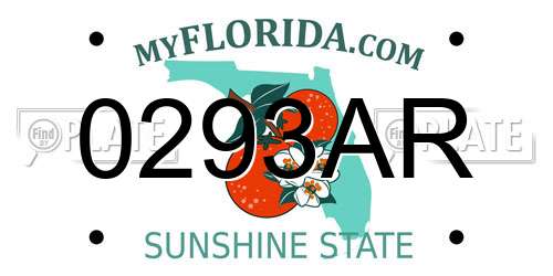 0293AR Florida License Plate