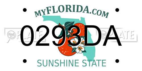 0293DA Florida License Plate