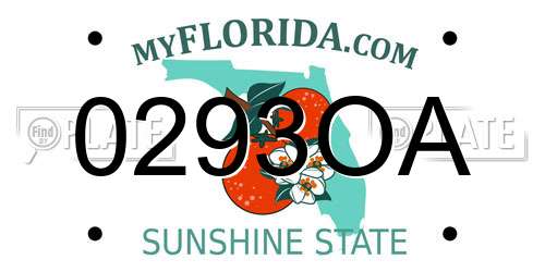 0293OA Florida License Plate