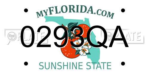 0293QA Florida License Plate