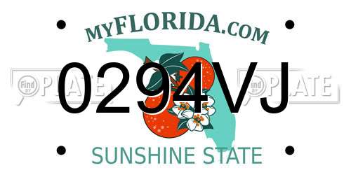 0294VJ Florida License Plate