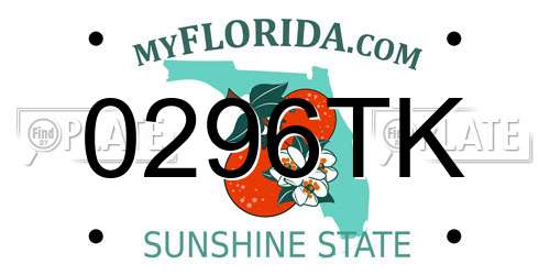 0296TK Florida License Plate