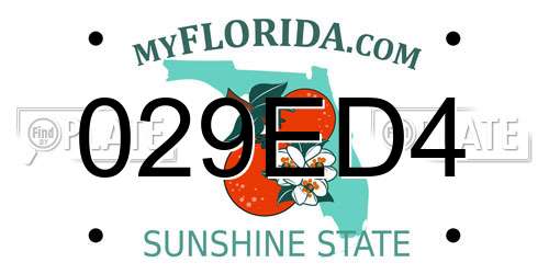 029ED4 Florida License Plate