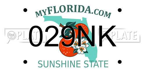 029NK Florida License Plate