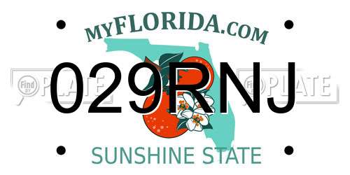 029RNJ Florida License Plate