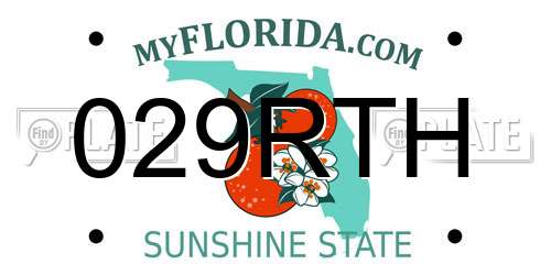 029RTH Florida License Plate