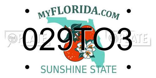 029TO3 Florida License Plate
