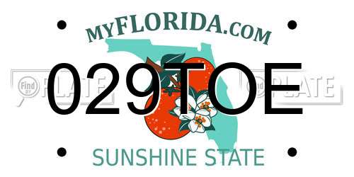 029TOE Florida License Plate