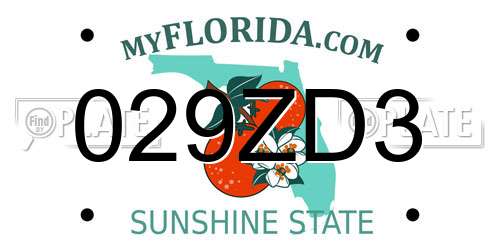 029ZD3 Florida License Plate