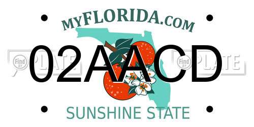 02AACD Florida License Plate