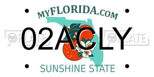02ACLY Florida License Plate