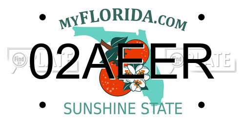 02AEER Florida License Plate