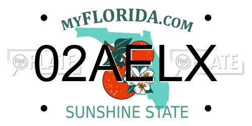 02AELX Florida License Plate