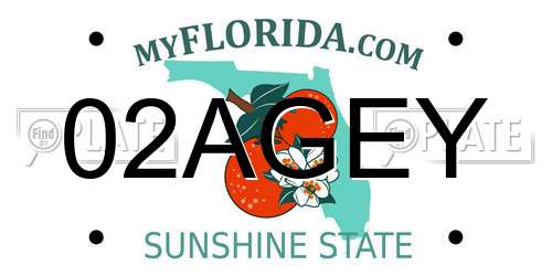 02AGEY Florida License Plate