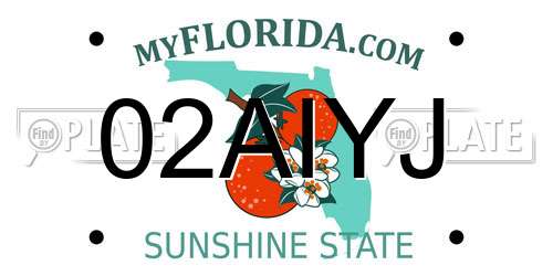 02AIYJ Florida License Plate