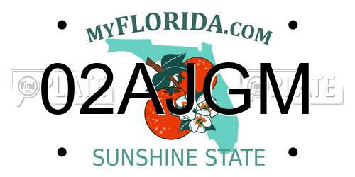 02AJGM Florida License Plate