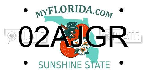 02AJGR Florida License Plate