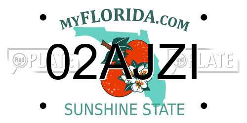 02AJZI Florida License Plate