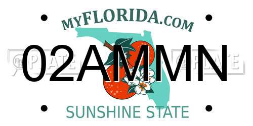 02AMMN Florida License Plate