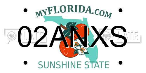 02ANXS Florida License Plate