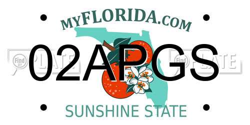 02APGS Florida License Plate