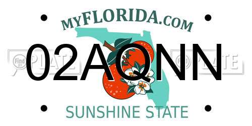 02AQNN Florida License Plate