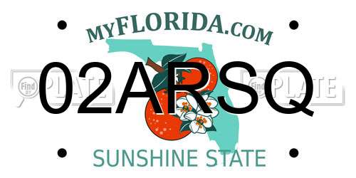 02ARSQ Florida License Plate