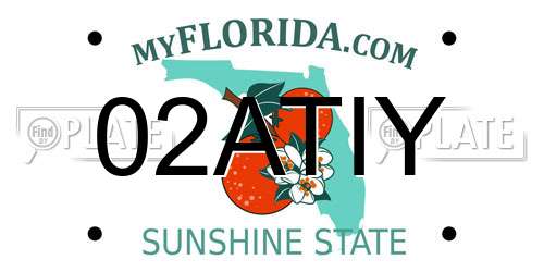 02ATIY Florida License Plate