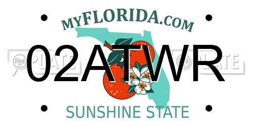 02ATWR Florida License Plate