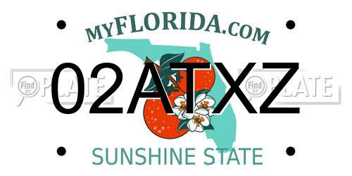 02ATXZ Florida License Plate