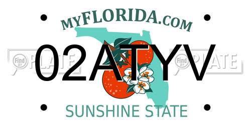 02ATYV Florida License Plate