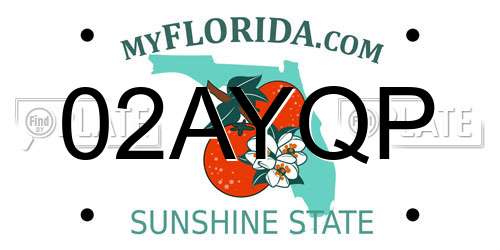 02AYQP Florida License Plate